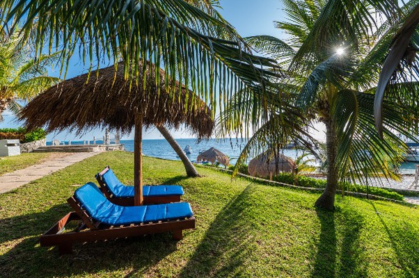 56% off ! Hotel Dos Playas Faranda Cancún 56% off ! Hotel Dos Playas Faranda Cancún