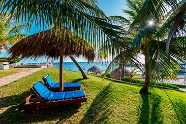 Faranda Dos Playas Cancún Rediseño - Cancún - Todo lo que necesitas saber sobre el Derecho de Saneamiento Ambiental en Cancún Faranda Dos Playas Cancún Rediseño - Cancún - Todo lo que necesitas saber sobre el Derecho de Saneamiento Ambiental en Cancún